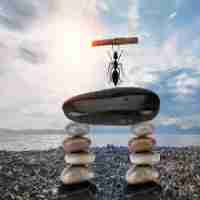 网‍址‌脚​本‍错​误​怎﻿么‌解‍决‍